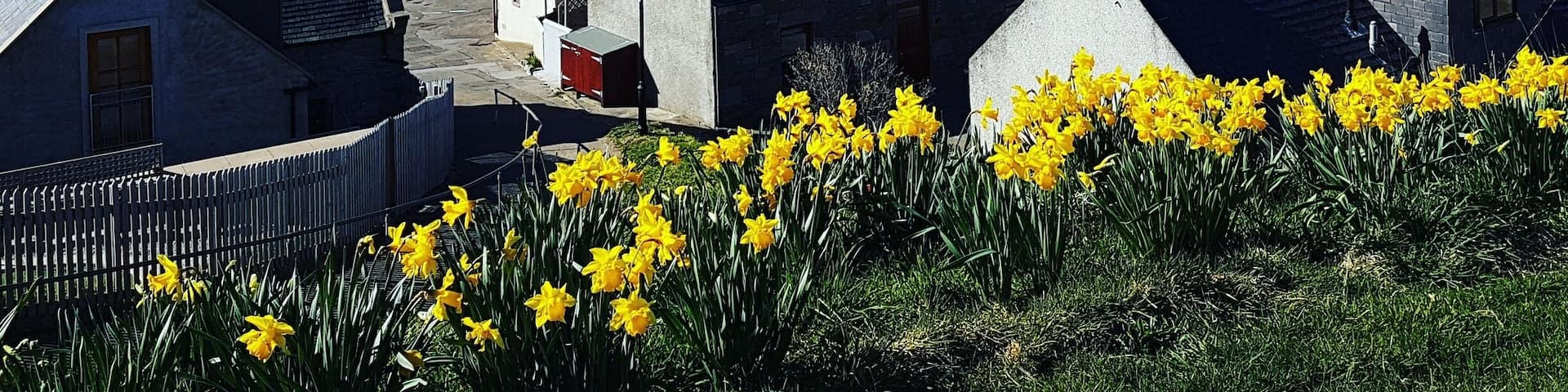 Stopped off at this spot to eat our cone. Couldn't have asked for a better view over Cullen. #Green