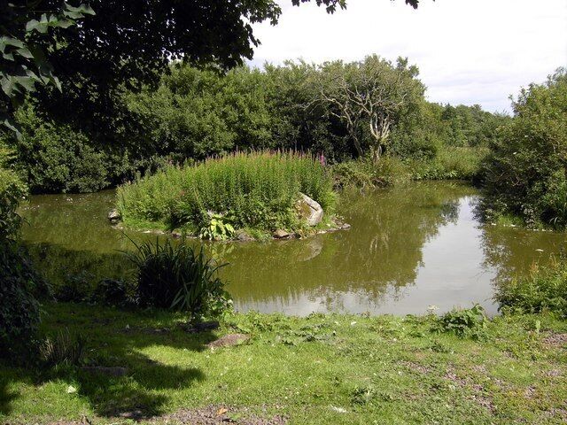 Duck Pond The duck pond on East Barcloy Farm.