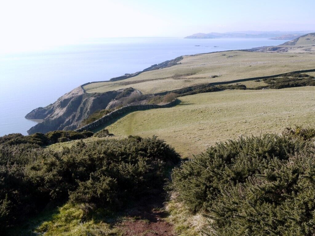 A coastal landscape with grassy fields, dense shrubbery, and cliffs overlooking the sea.