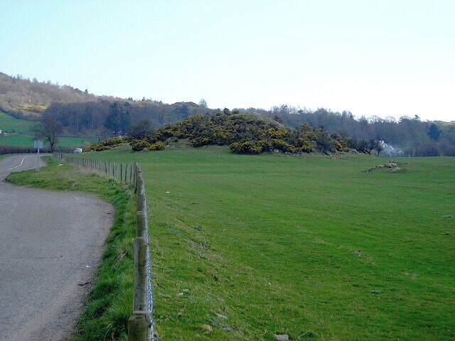 A rural road curving through a green field with a fence on one side and a hill with trees in the background.