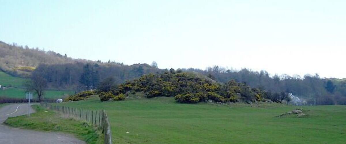 A rural road curving through a green field with a fence on one side and a hill with trees in the background.