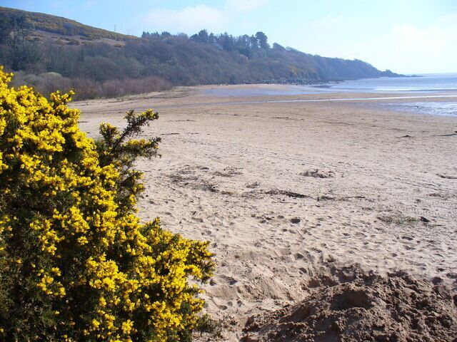 A sandy beach with yellow flowers in the foreground and a hilly landscape in the background.