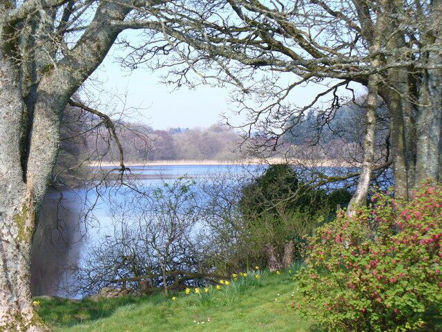 White Loch, Colvend Tree-lined loch seen from the south.