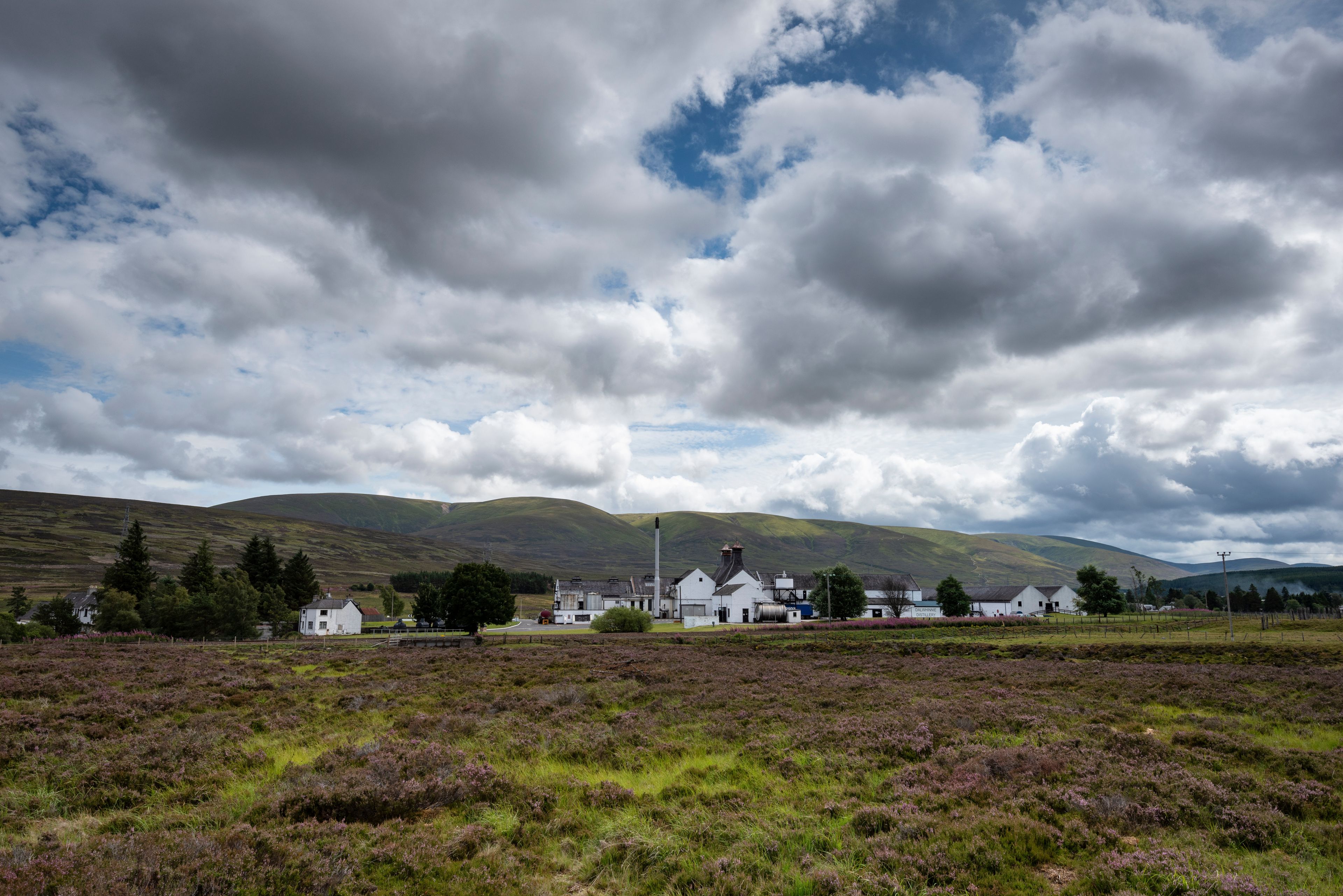 A rural landscape with rolling hills, a white building with a chimney, and a field of heather.