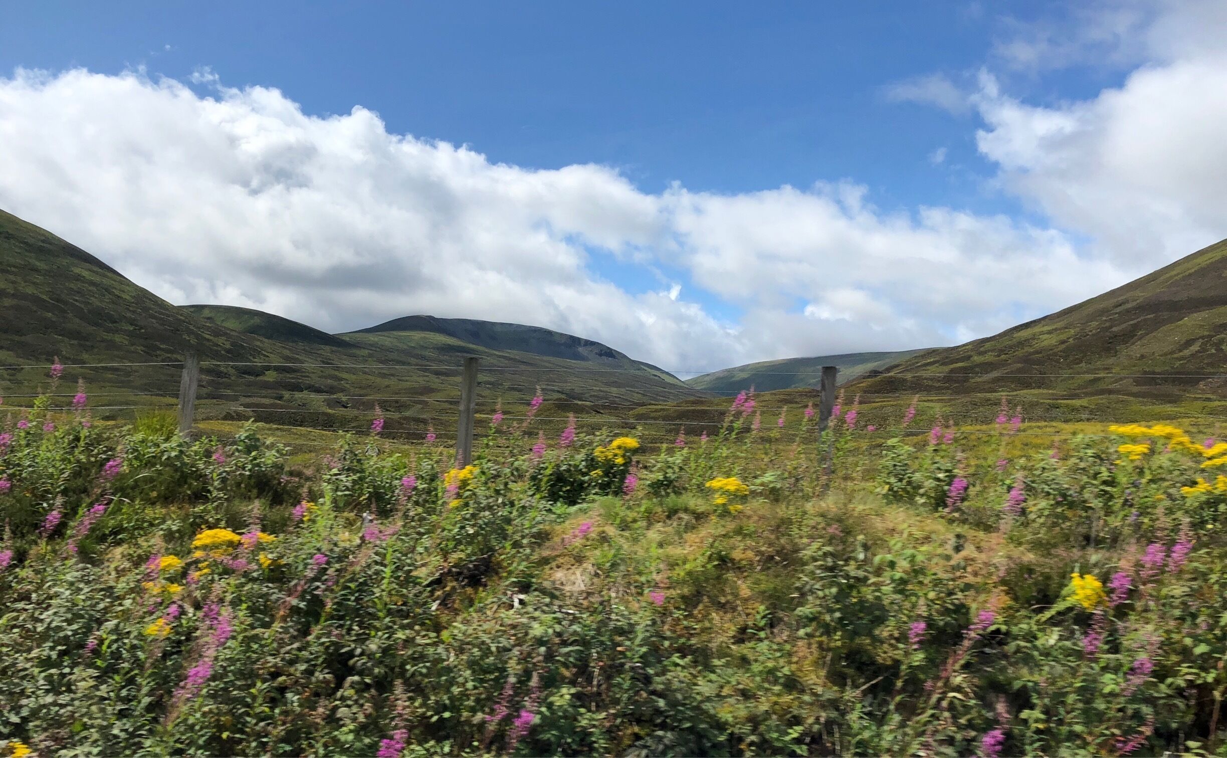 The view from the train, on my way to Inverness. 

#lifeatexpedia #scotland
