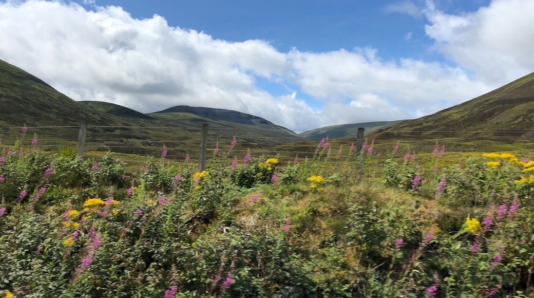 The view from the train, on my way to Inverness.
#lifeatexpedia #scotland