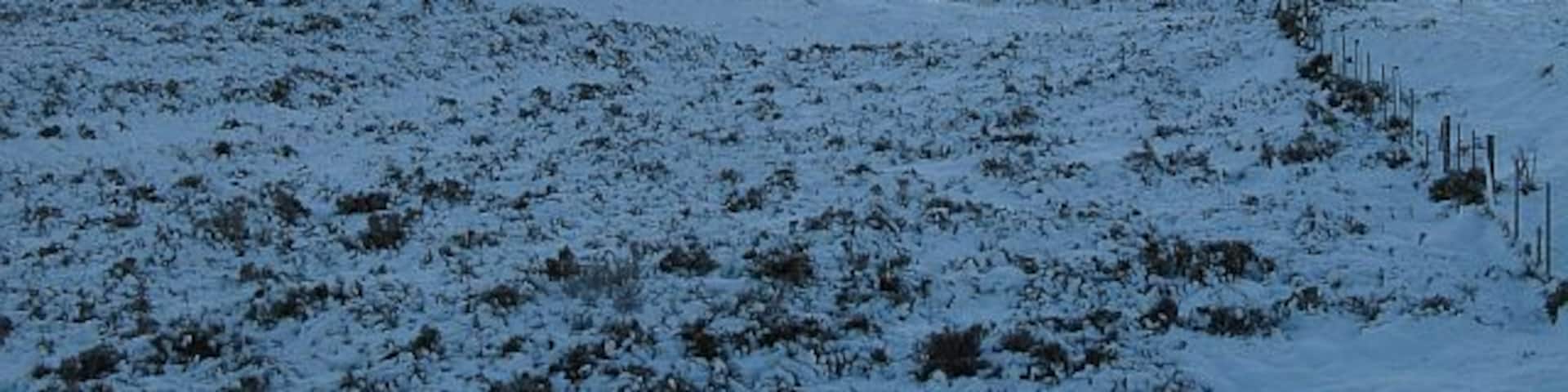 A snowy landscape with a mountain in the background and a fence in the foreground.