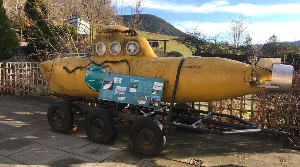 We all live in a yellow submarine.