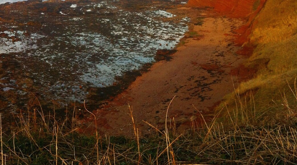Winterfield golf course at Belhaven Bay is in the most stunning location! Great walks and a few nice pubs in Dunbar. Only 45 minutes from Edinburgh.