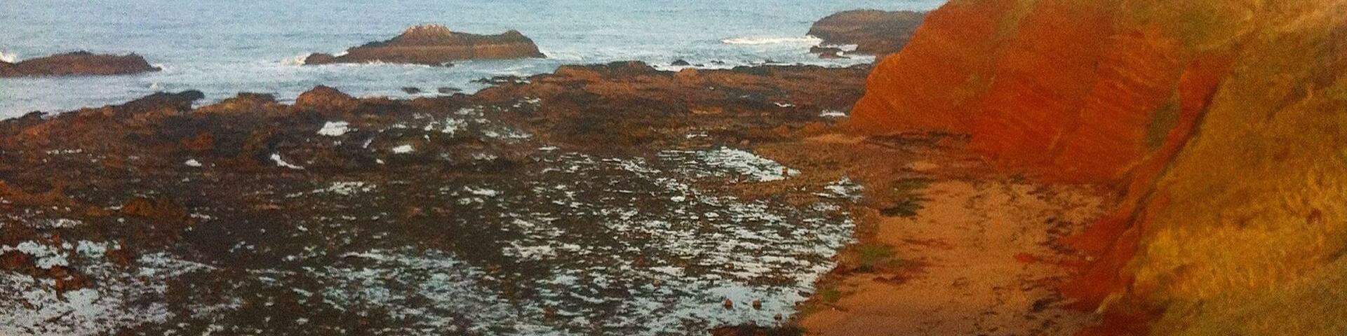 Winterfield golf course at Belhaven Bay is in the most stunning location! Great walks and a few nice pubs in Dunbar. Only 45 minutes from Edinburgh.