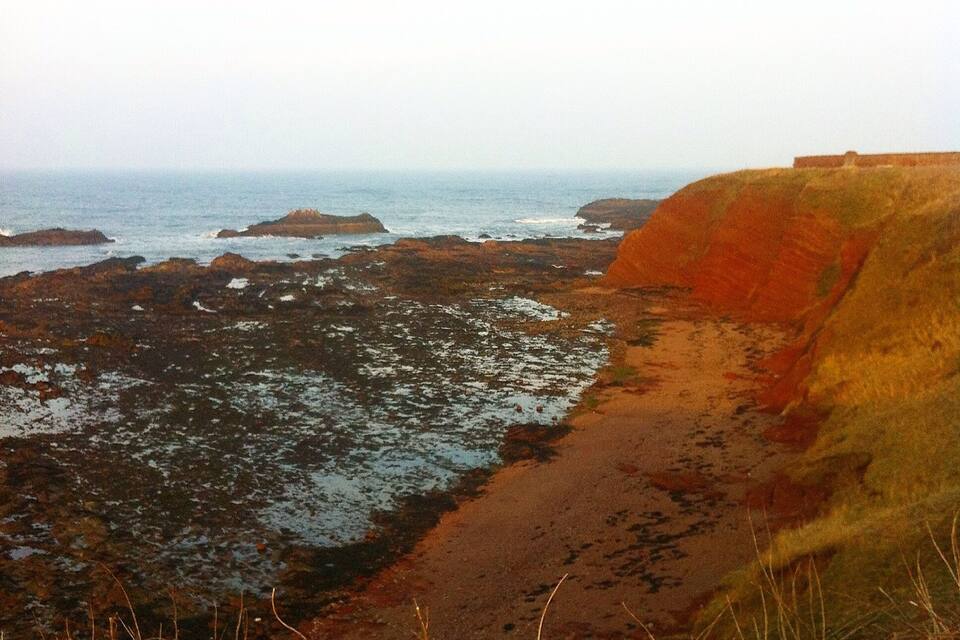 A coastal landscape with rocky shores, a sandy beach, and a cliff.