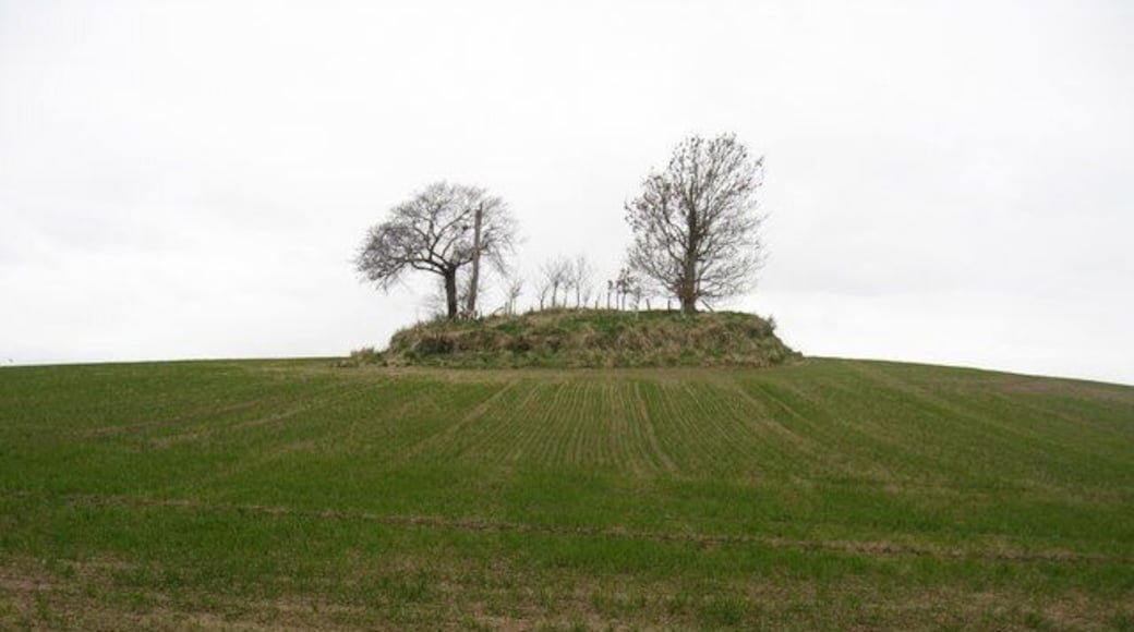 Doons Law burial site near Whitsome A burial cist.
