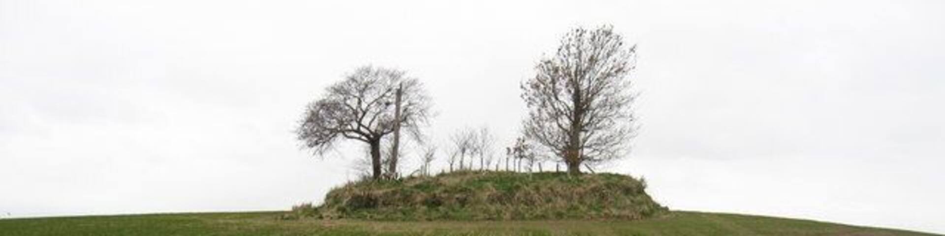 Doons Law burial site near Whitsome A burial cist.