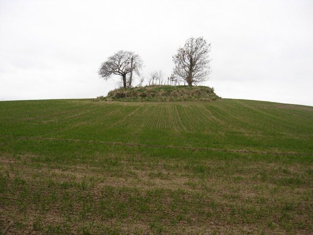 A grassy hill with two leafless trees and a mound in the center.