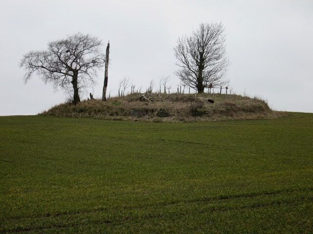 Doons Law. Cist burial site, near Whitsome