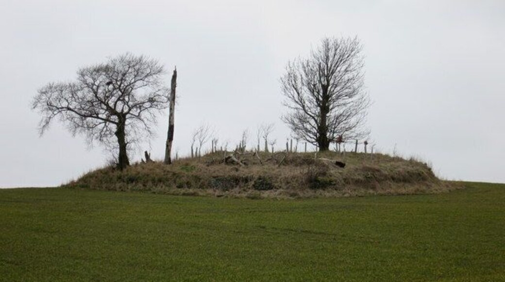 Doons Law. Cist burial site, near Whitsome