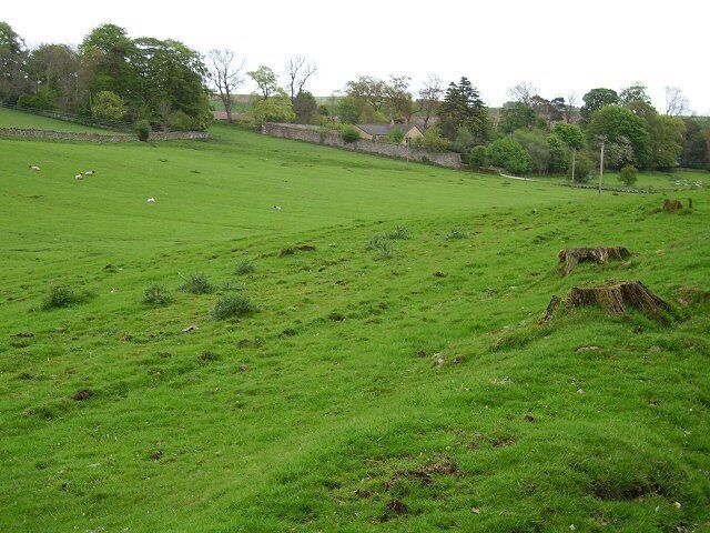 Renton. Farm near Grantshouse. Sheep and cattle graze the very green pasture on a shelf above the A1.