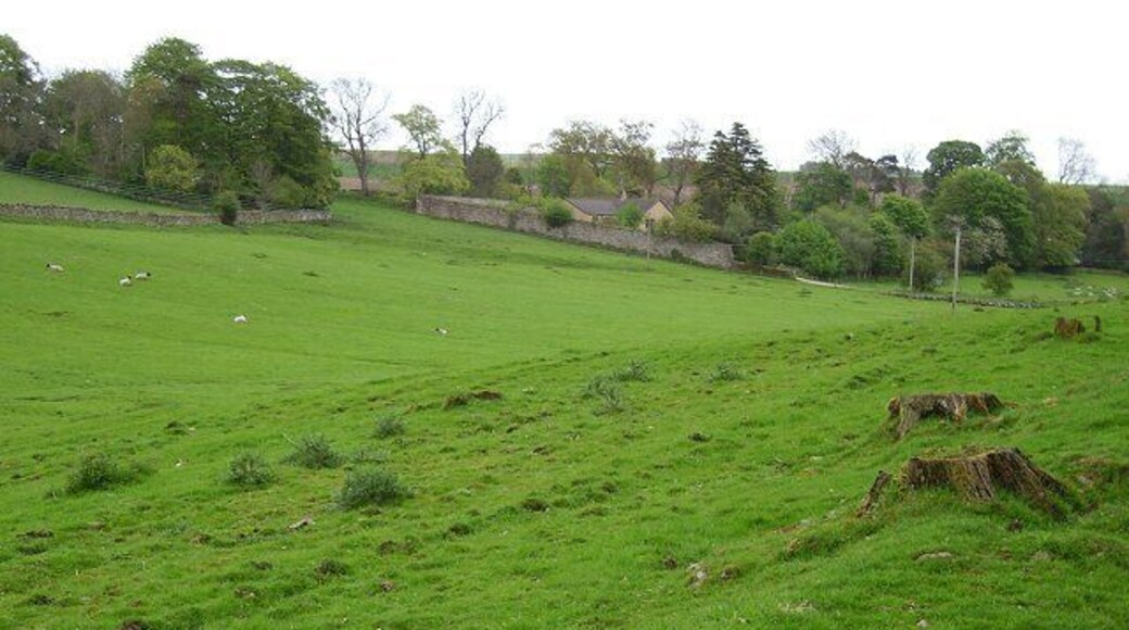 Renton. Farm near Grantshouse. Sheep and cattle graze the very green pasture on a shelf above the A1.