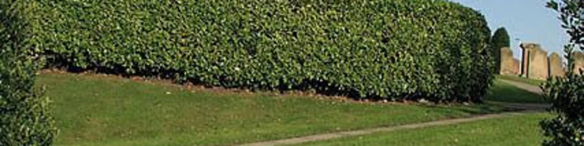 VE Day and VJ Day memorial at Chirnside A bronze plaque on a stone base in Chirnside Parish Churchyard. The parish church is in the background. The plaque reads:- TO COMMEMORATE THE FIFTIETH ANNIVERSARY OF THE CESSATION OF HOSTILITIES IN EUROPE AND JAPAN ON VE DAY 8TH MAY VJ DAY 14TH AUGUST 1945 CHIRNSIDE COMMUNITY COUNCIL