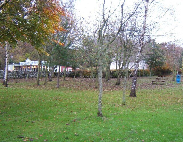 Picnic Site Next to the Cedar Cafe.