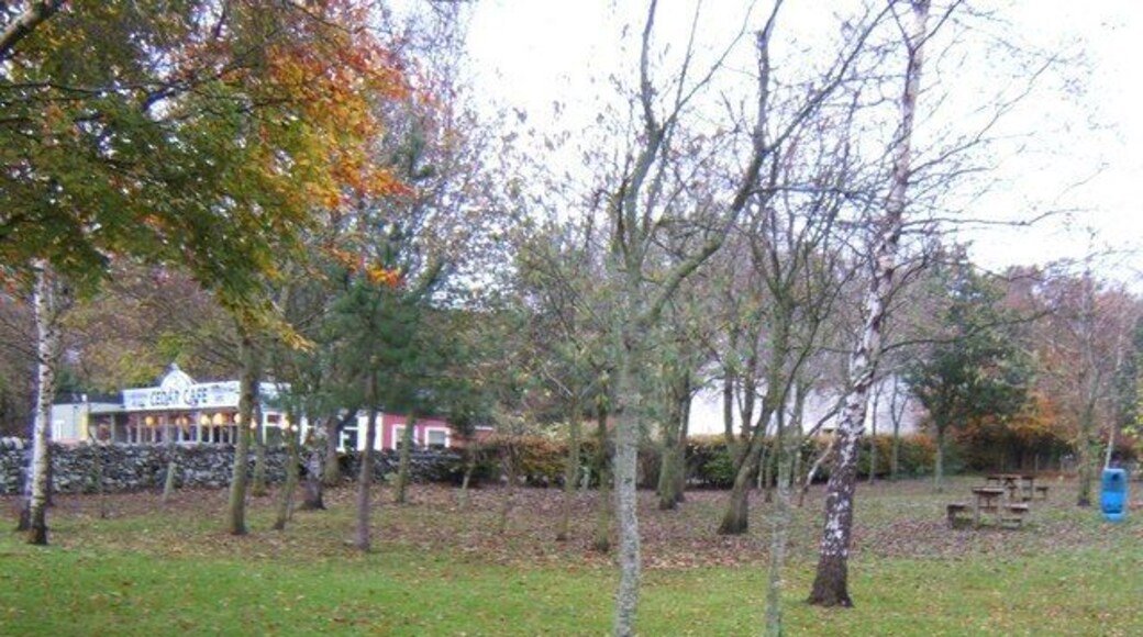 Picnic Site Next to the Cedar Cafe.
