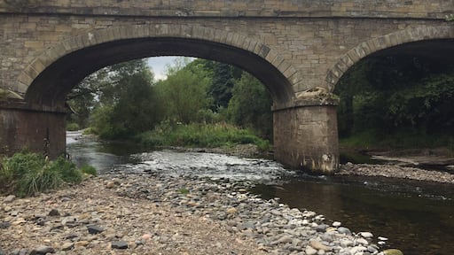 The Whiteadder river, which runs by Edrom Village in the Scottish boarders. It's a great place for the family to check out and have a picnic.