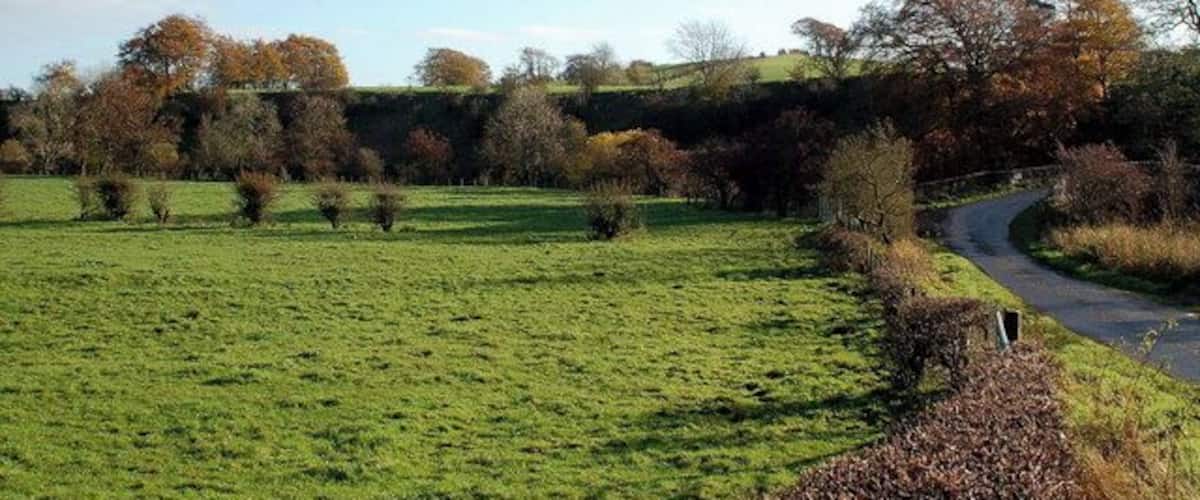 A rural landscape with a winding road, green fields, and trees with autumn foliage.