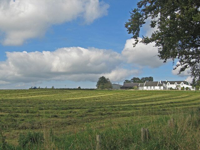 Silage, Hareshaw Farm You can see the tractor working the silage in preparation for baling on the horizon near the left.