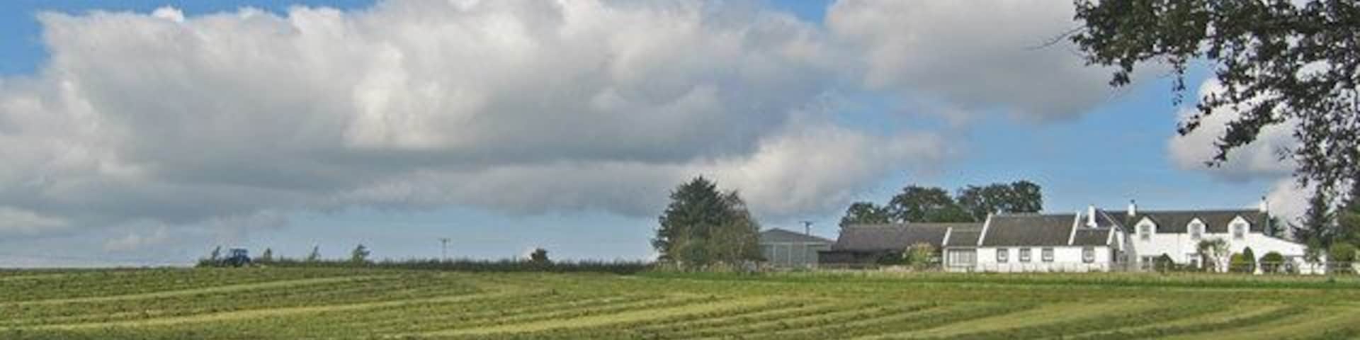 Silage, Hareshaw Farm You can see the tractor working the silage in preparation for baling on the horizon near the left.