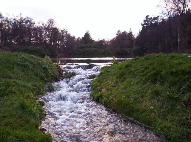 Outflow Near Guthrie Castle The outflow from the pond next to Guthrie Castle. The outflow seems to be working overtime after the recent spell of heavy rain.