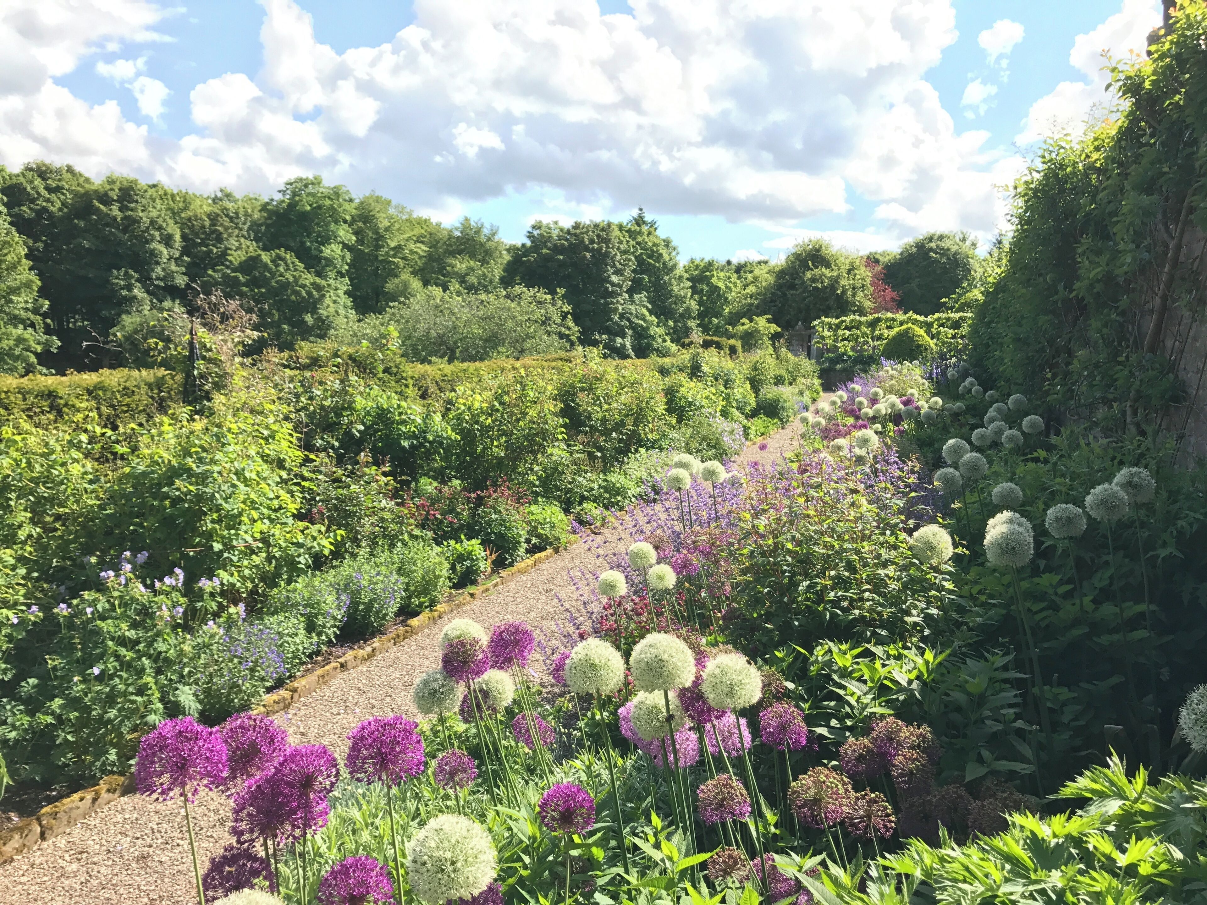 Walled garden at Gardyne Castle, Angus, Scotland