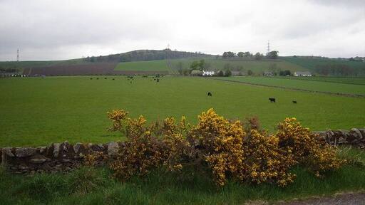 Fields near Memus, Angus, Scotland. West and East Memus.