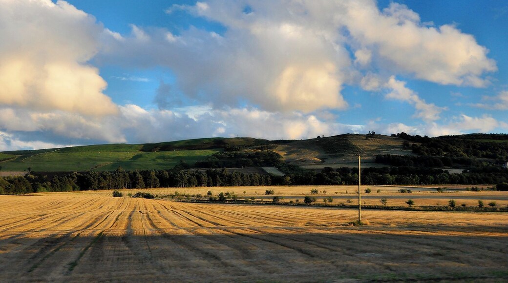 Fahrt von Dunnotar Castle nach Dundee