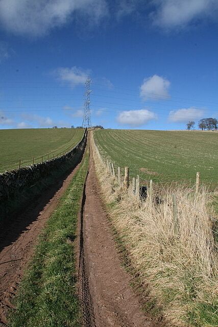Track up towards White Top (273m)