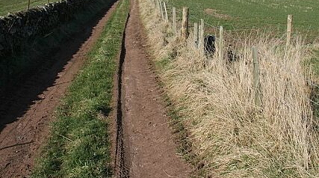 Track up towards White Top (273m)