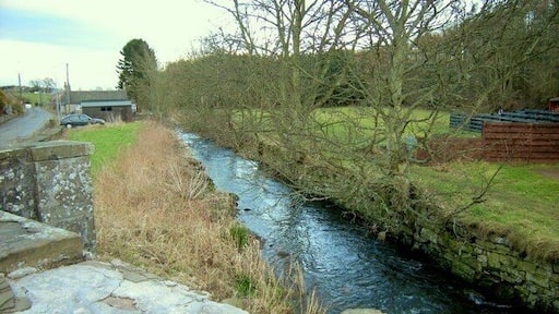 Vinny Water, Letham, Angus, looking downstream Picture taken from the Bridge over the Vinny Water at The Den, Letham.