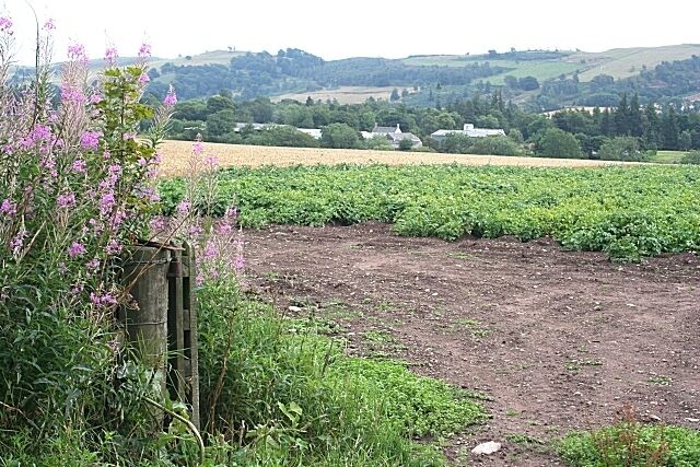 West Mains of Finavon. Looking across the tattie and grain fields. Finavon Hill rises beyond the farm buildings.