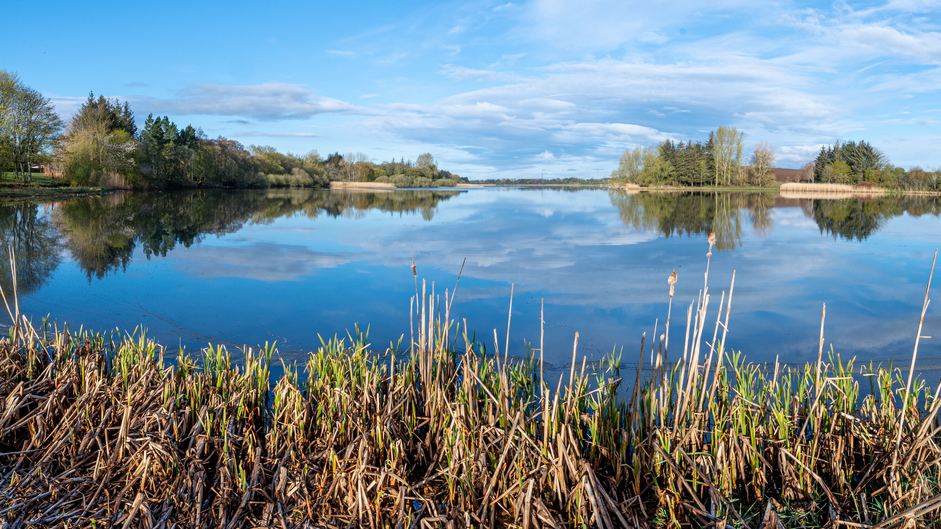 Ein ruhiger See mit Spiegelungen von Bäumen und Himmel, umgeben von Schilf und blauem Himmel.