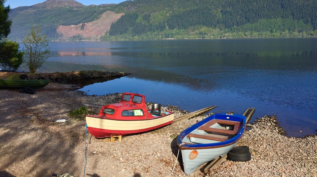 Lovely spot to camp, right on the shore.
