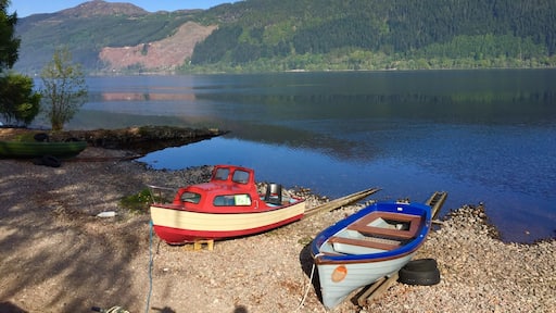 Lovely spot to camp, right on the shore.