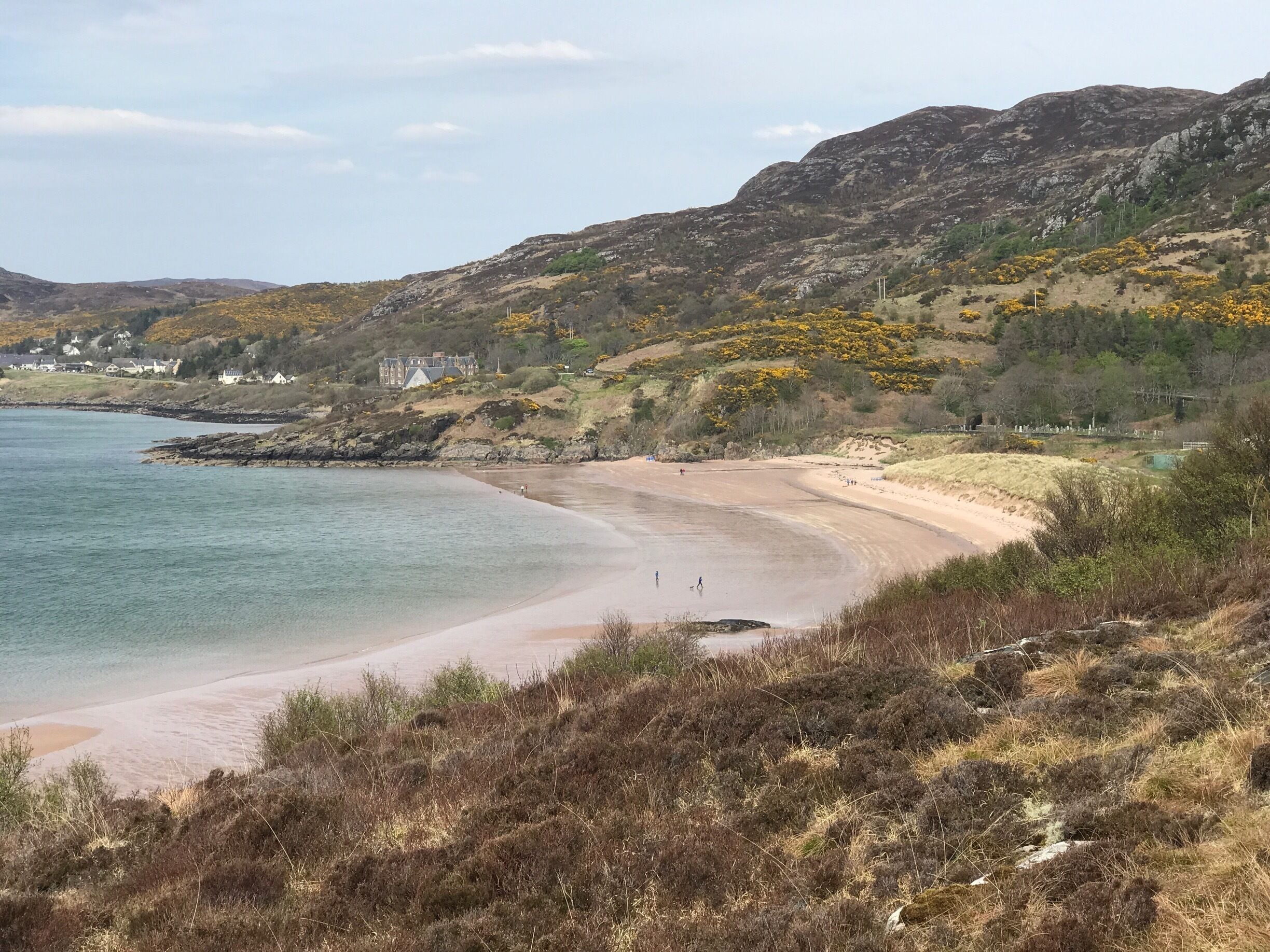 View of the beech at Gairloch from the top of the 1km trail from Charleston Harbour