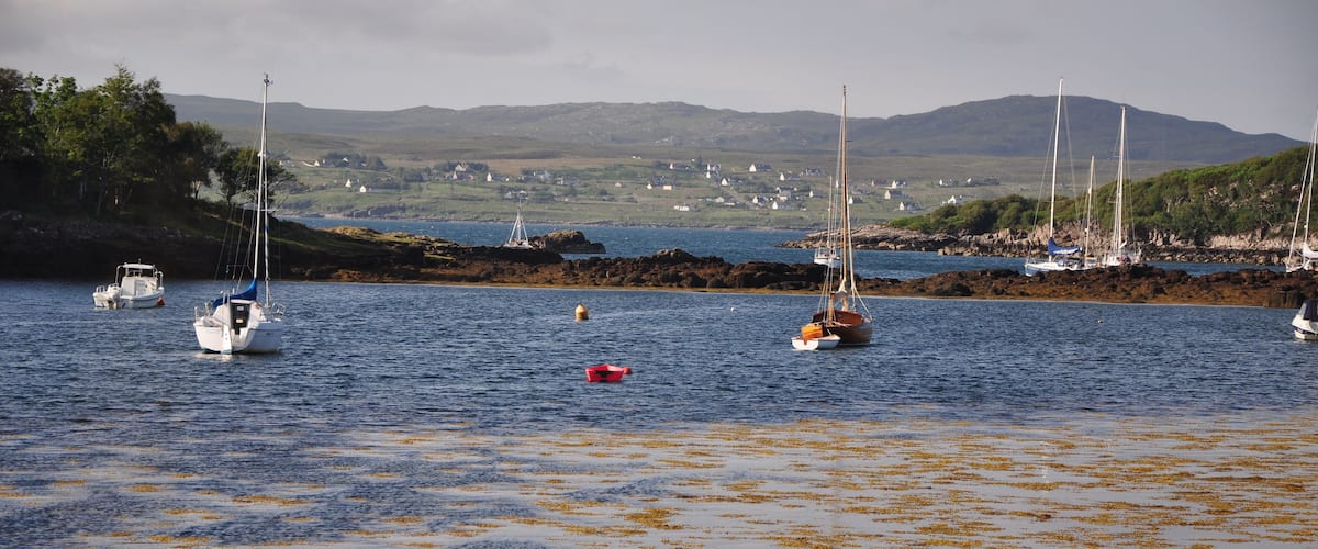 A coastal scene with boats on the water, seaweed on the shore, and a hilly landscape in the background.