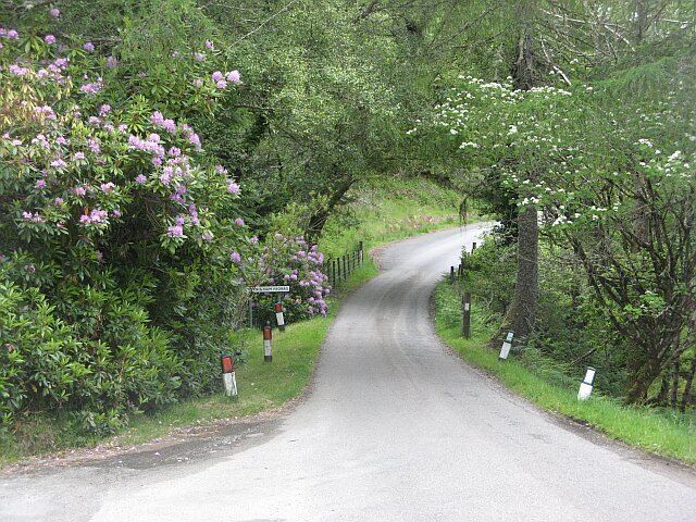 The road to Ardnamurchan outside Fasgadh, Glenborrodale Stopped opposite another house sharing my user name (I got mine from Fersit, Glen Spean) The road crosses the Allt Innis nam Feorag amongst the inevitable rhododendrons. All the burn crossings are signposted here, and there are grid references on the back of the signs.