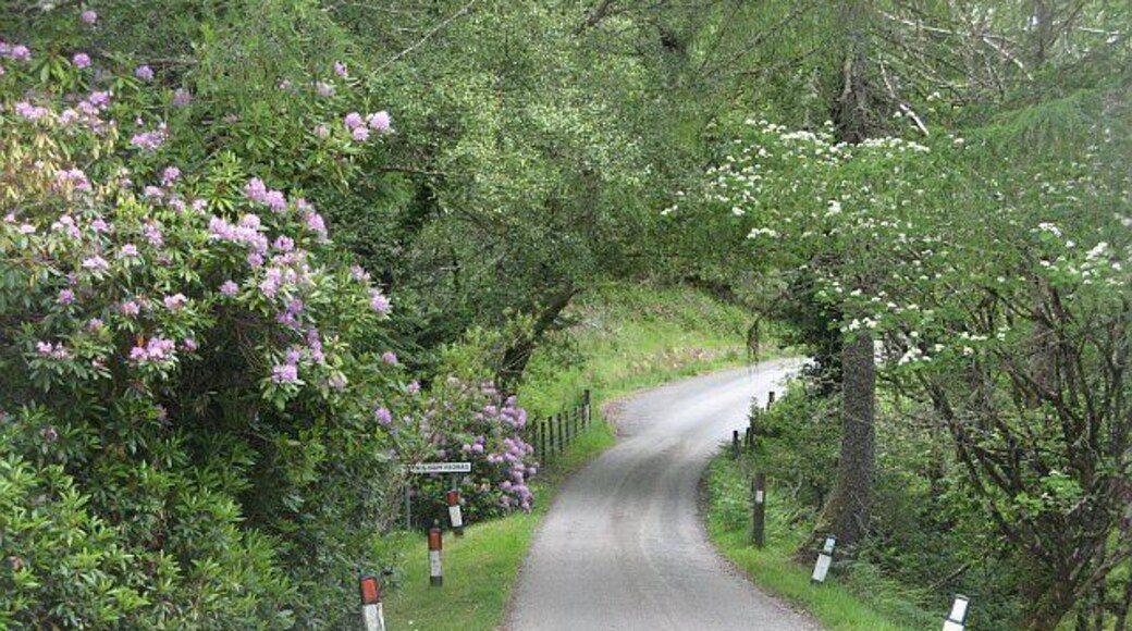 The road to Ardnamurchan outside Fasgadh, Glenborrodale Stopped opposite another house sharing my user name (I got mine from Fersit, Glen Spean) The road crosses the Allt Innis nam Feorag amongst the inevitable rhododendrons. All the burn crossings are signposted here, and there are grid references on the back of the signs.