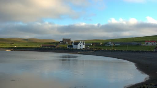 Time. There is no time. I stand still on the pebbled shore, The breeze in my face, in my hair, in my ears. (It whispers to me) There is no time. Only the crystal water that licks the stones at my feet. A boat purrs in the distance, the birds Dive for their dinner, ripples spread and disperse, Like memories of time. There is no time. Only shells and stone and silky glass, Pummelled by an unseen hand, Never seen, but always there, Shaping and changing, Time and tide. Time. There is no time.