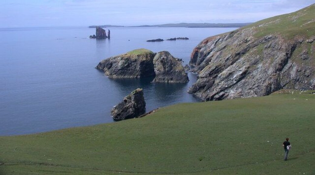 Ness of Hillswick, SW coastal cliffs SW cliffs of Ness of Hillswick on right, Isle of Niddister in centre. The Drongs HU2675 rock stacks beyond, with the South edge of Esha Ness on the horizon to their left.