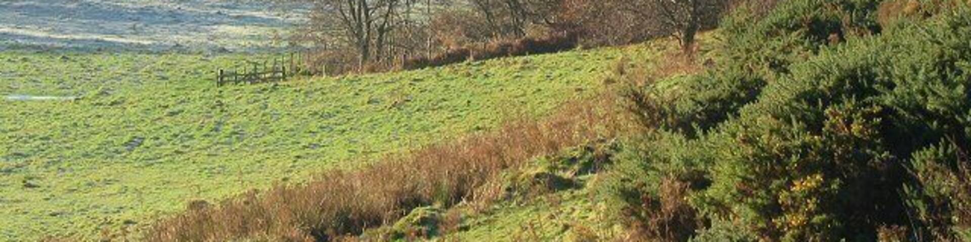 Keith Water. The wooded glen of the Keith Water is a major feature crossing the square. Looking SE and upstream.