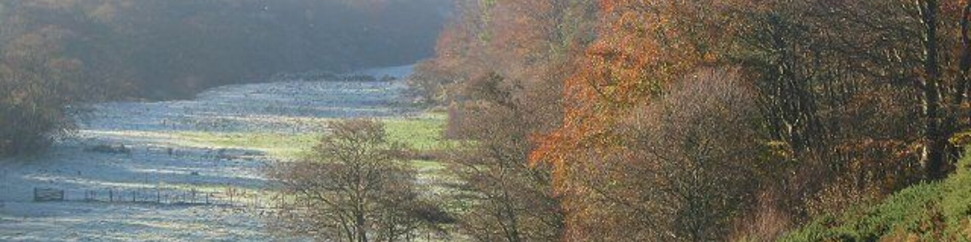 Keith Water. The wooded glen of the Keith Water is a major feature crossing the square. Looking SE and upstream.