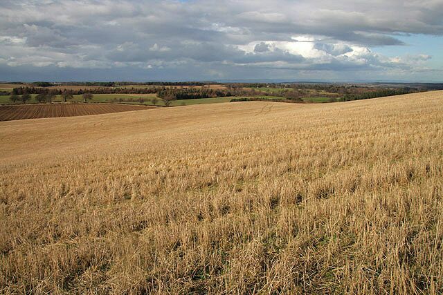 Farmland on Kippit Hill A view north over a stubble field.