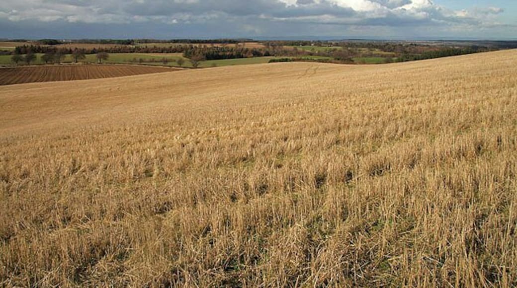 Farmland on Kippit Hill A view north over a stubble field.